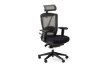 ErgoChair <br/>Pro
