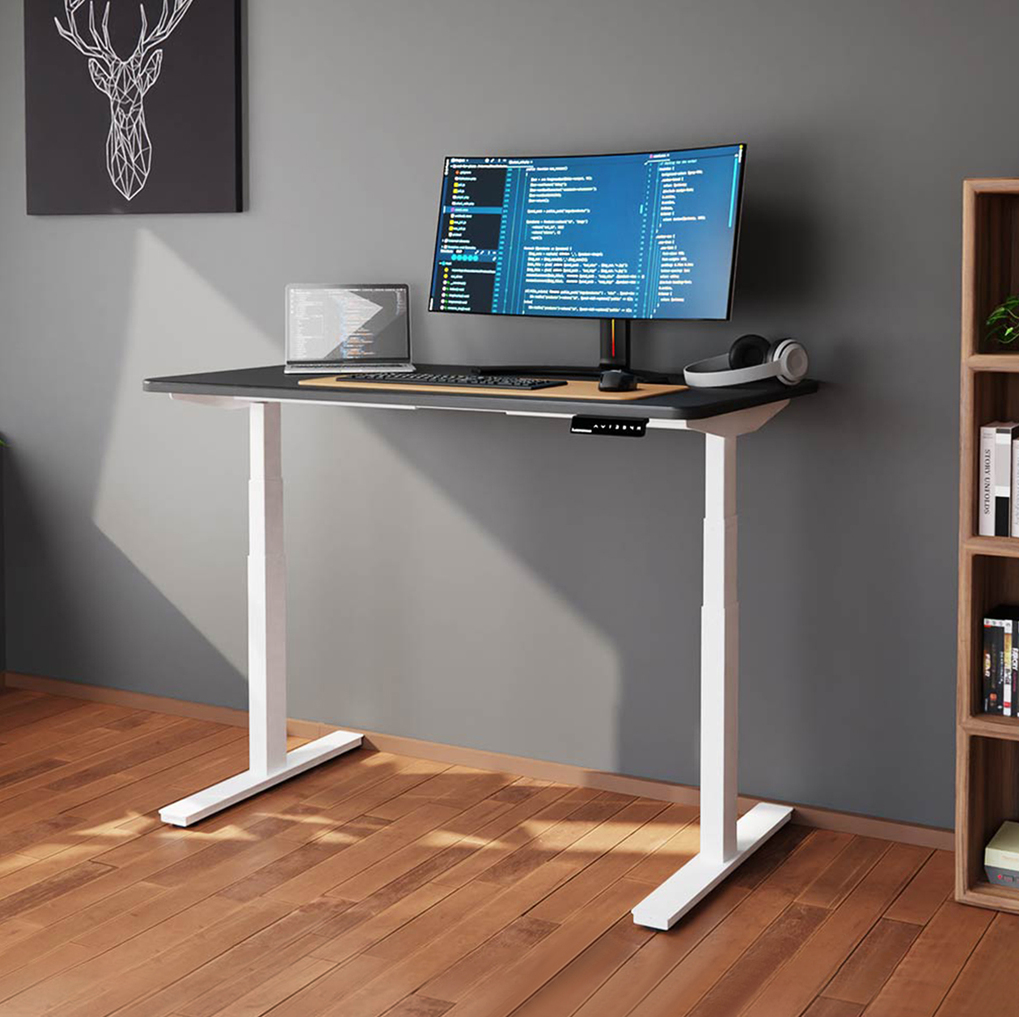 Vari- Standing Desk Adjustable Height (48 x30')- Electric Sit-Stand  Computer Desk for Work or Home Office- Dual Motor with Memory Presets-  Adjustable