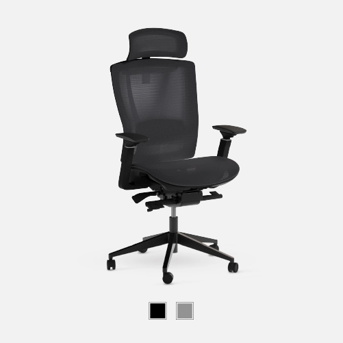 ErgoChair Mesh