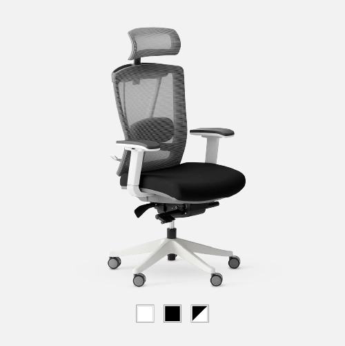 ErgoChair Pro