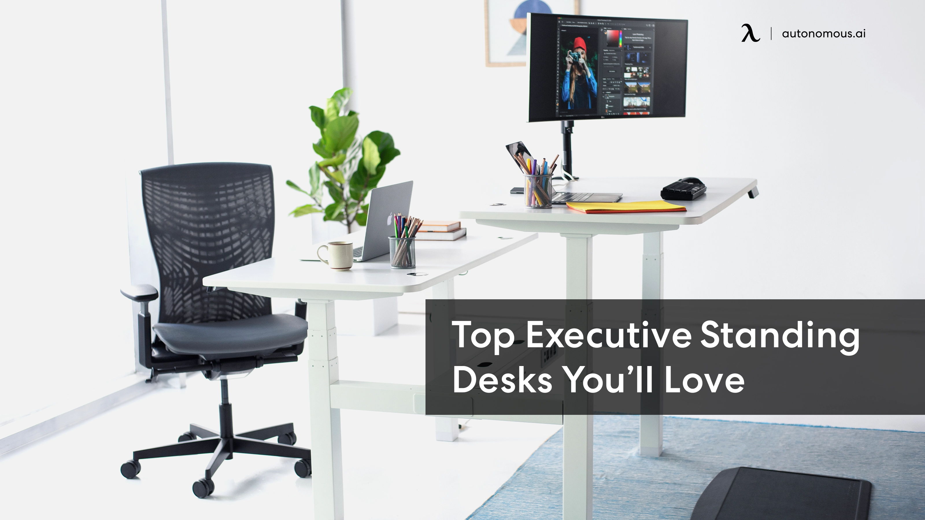 Top 9 Executive Standing Desks to Work More Effectively