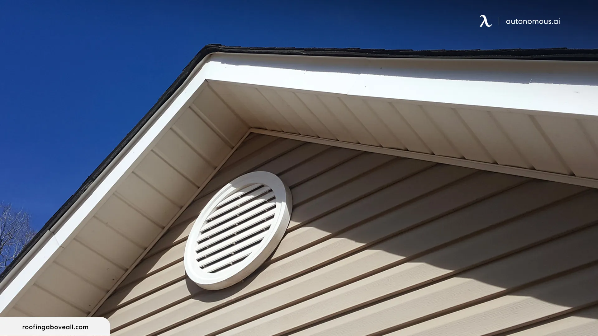 Let's Talk Why Shed Ventilation Matters?