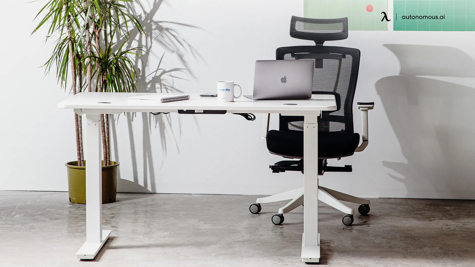 Get an Ergonomic Chair