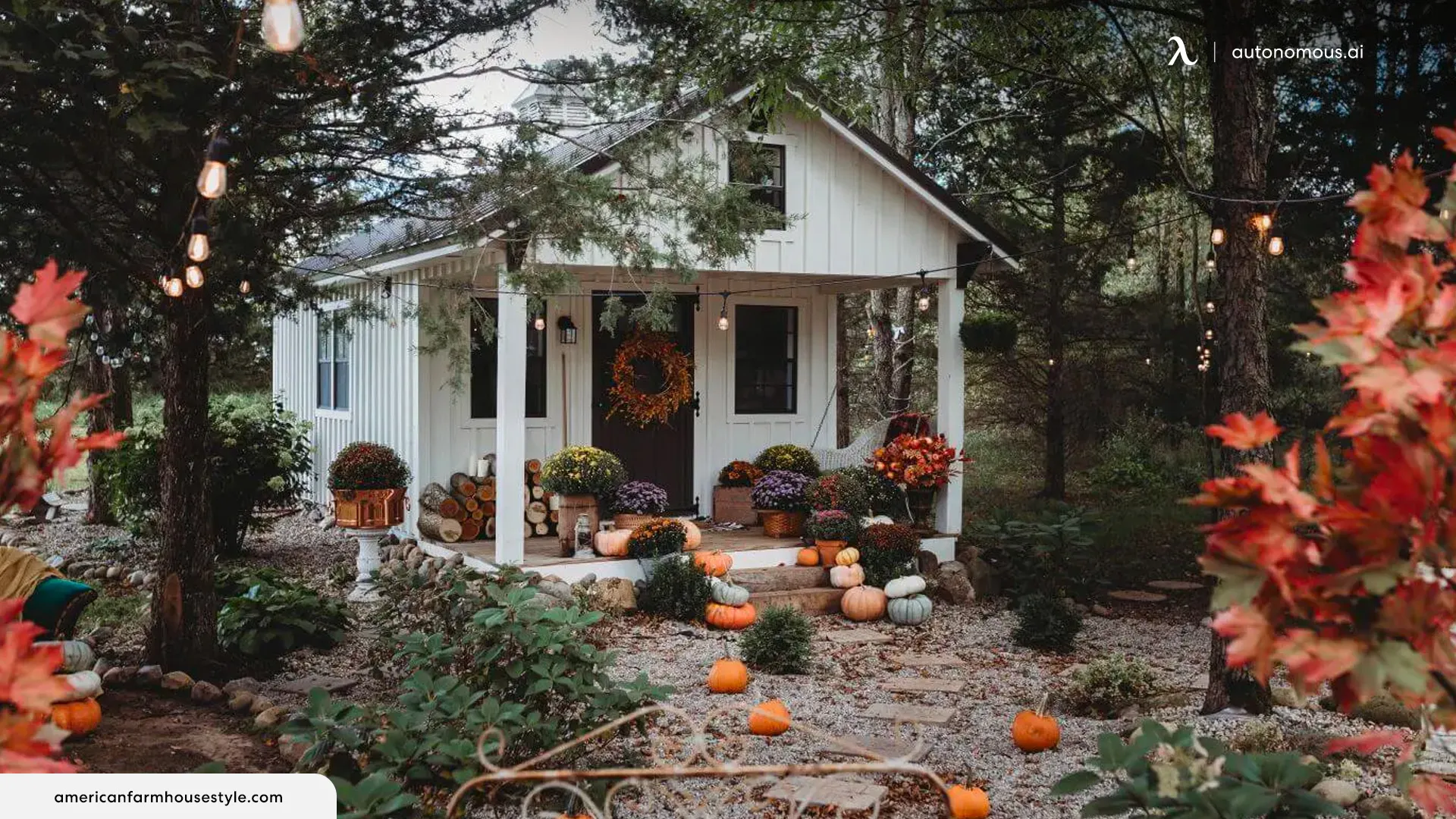 Contemporary Fall-themed Backyard House