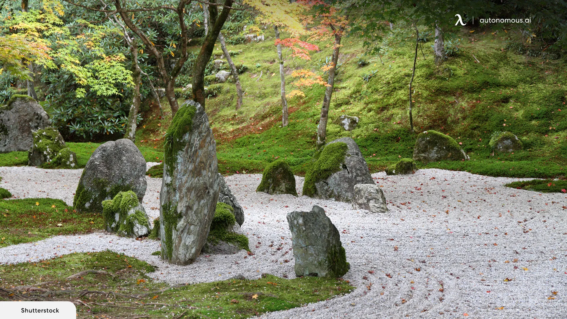 Creating a Tranquil Sand Garden Oasis Surrounding Your ADUs