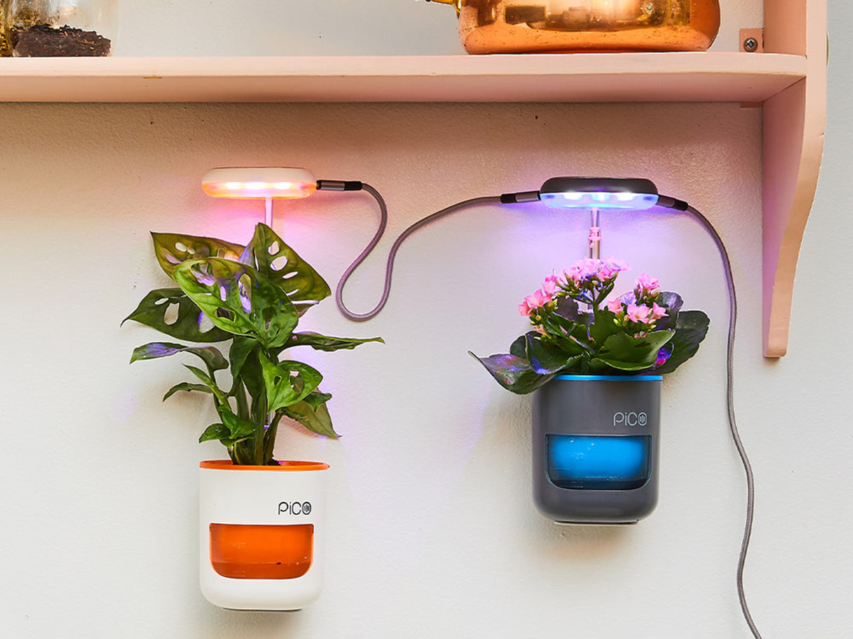 PICO Planter Indoor Garden