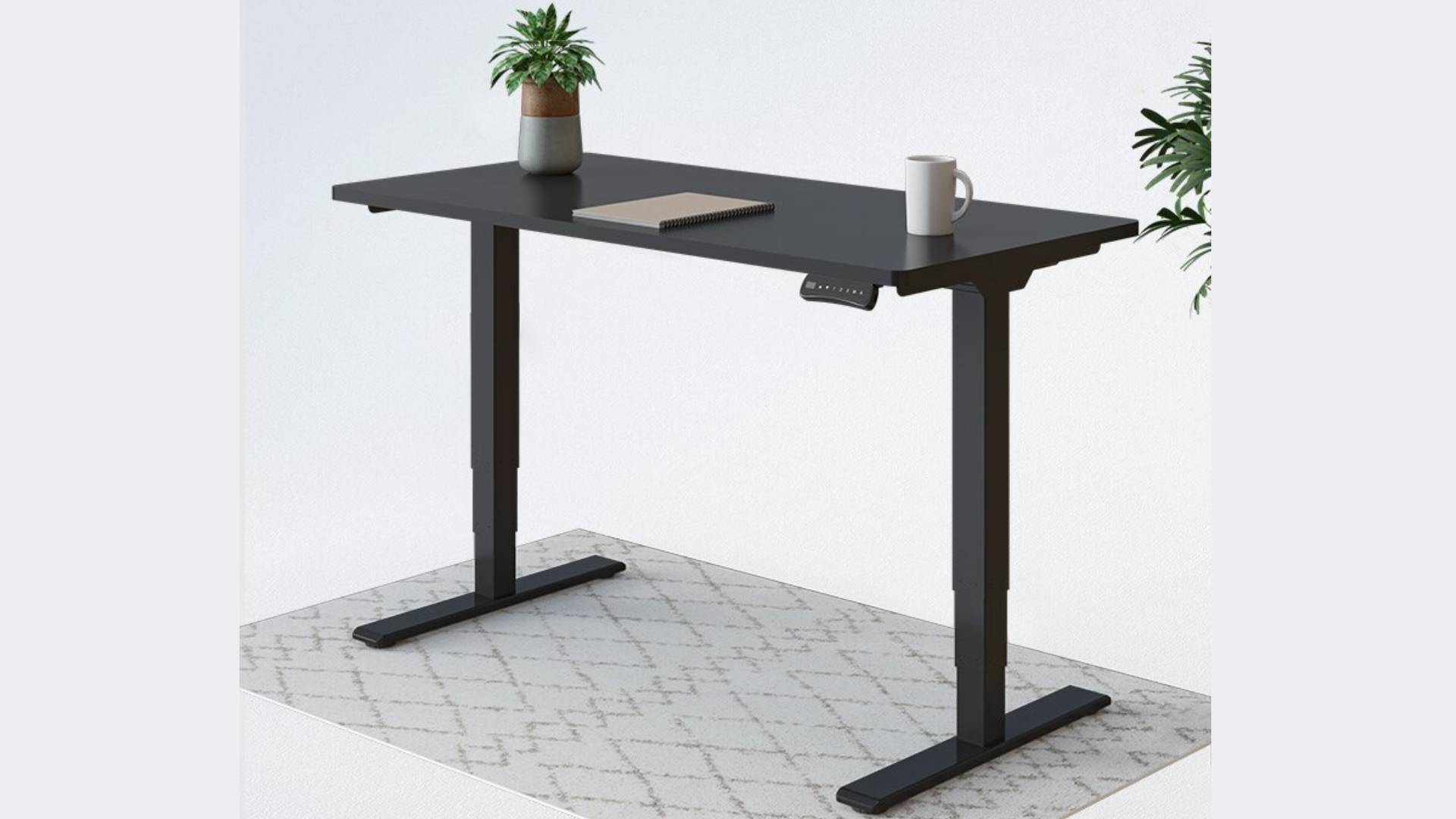 Adjustable Standing Desk Pro Series_2