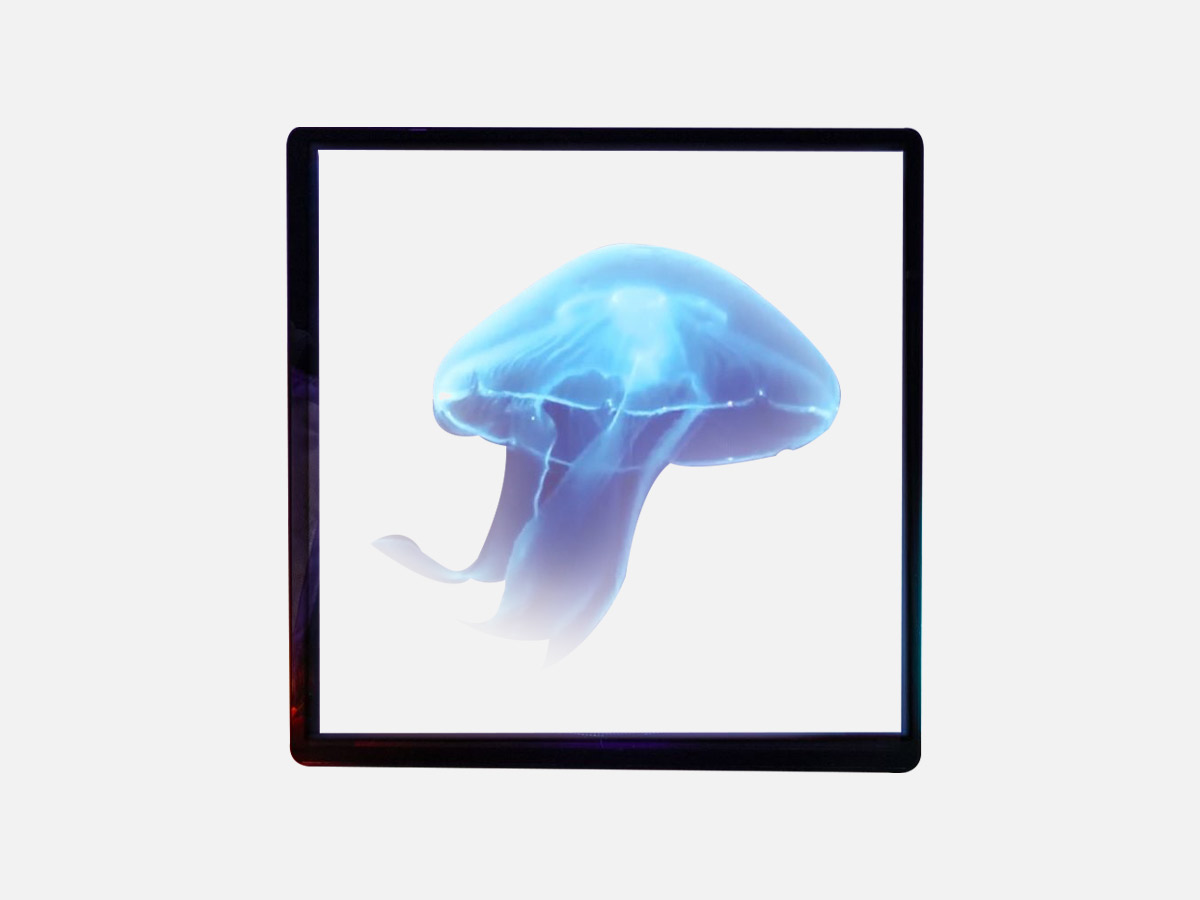 Lamp Depot 3D Hologram LED Fan With Frame: APP Control