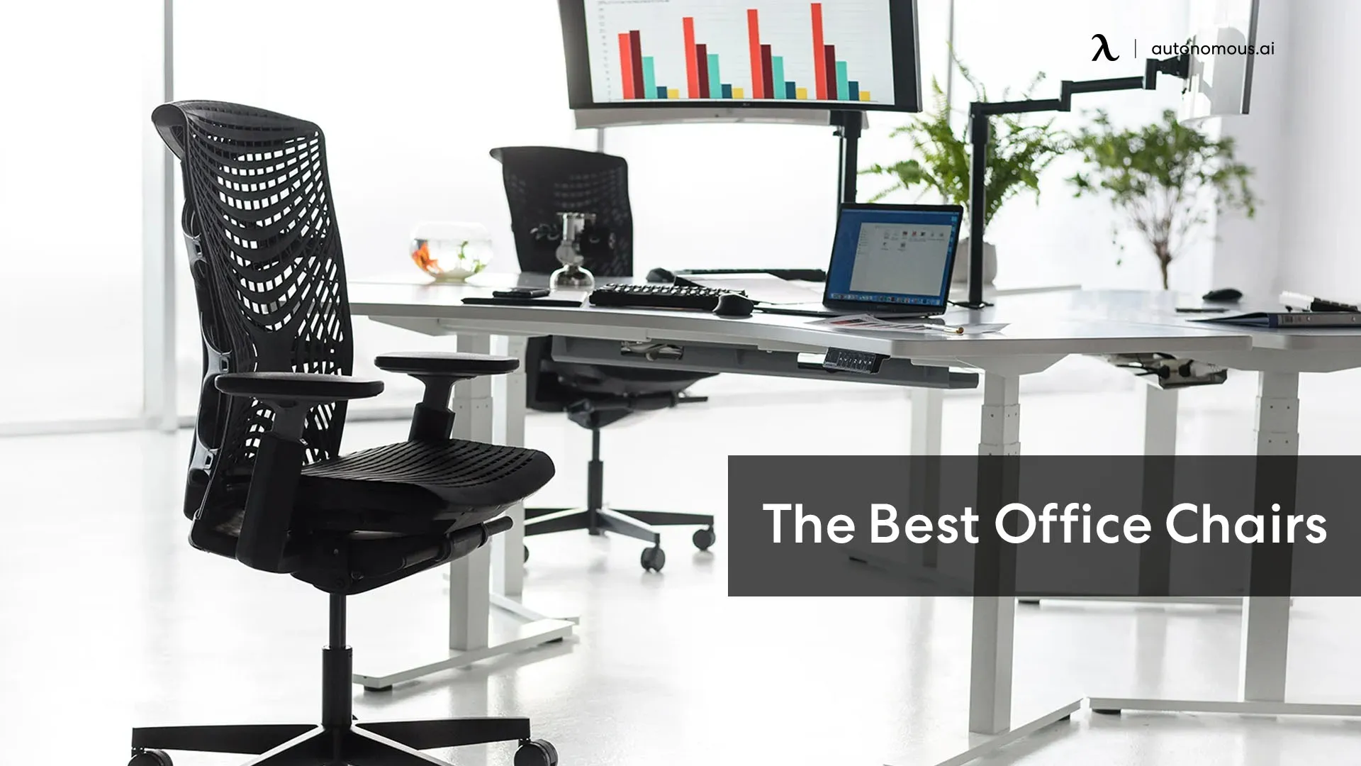 The Best Office Chairs of 2024 You'll Love | Say Hello to Comfortable Seating!
