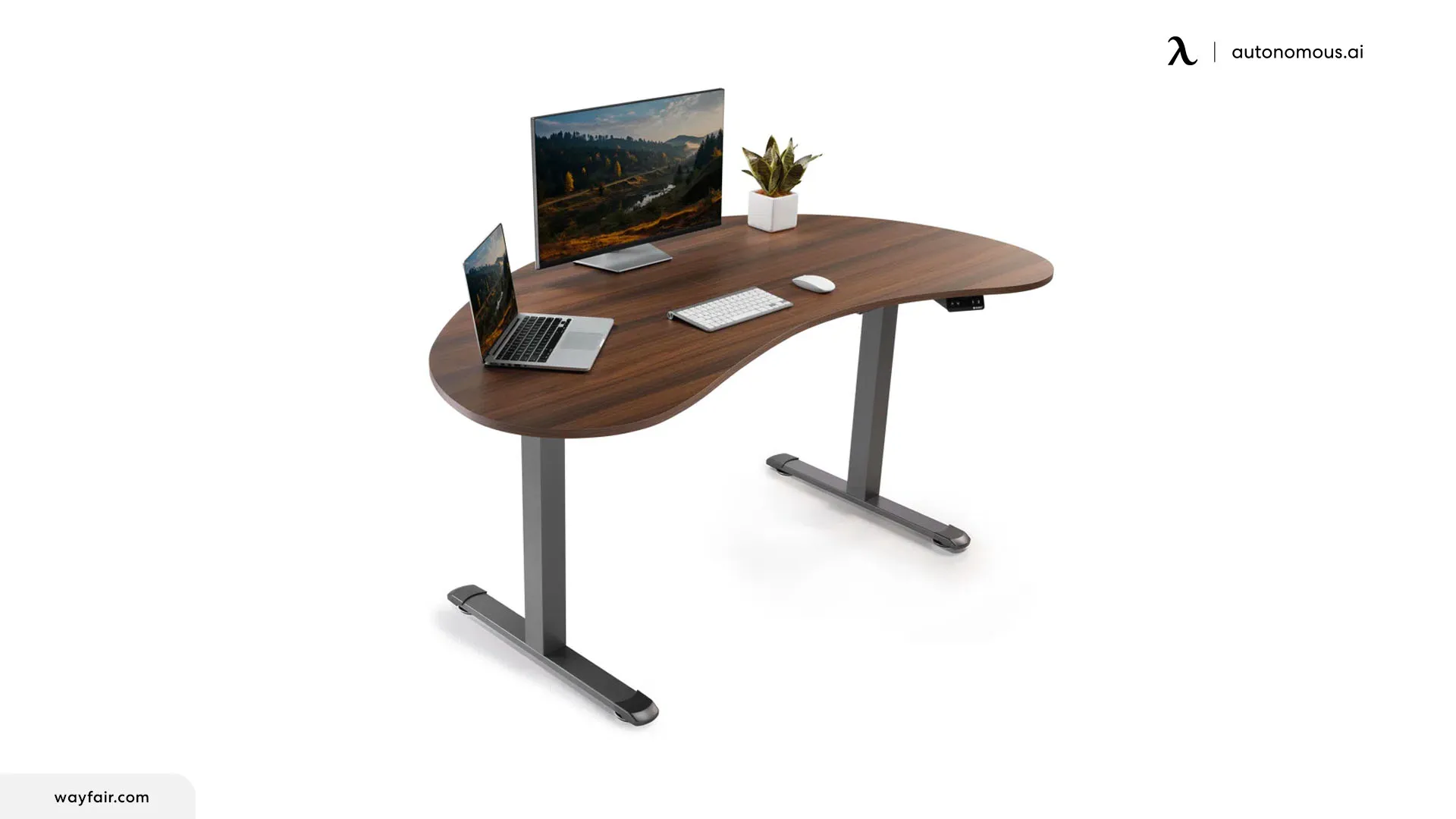 The Best Rounded Desks for Your Office 2024 Review