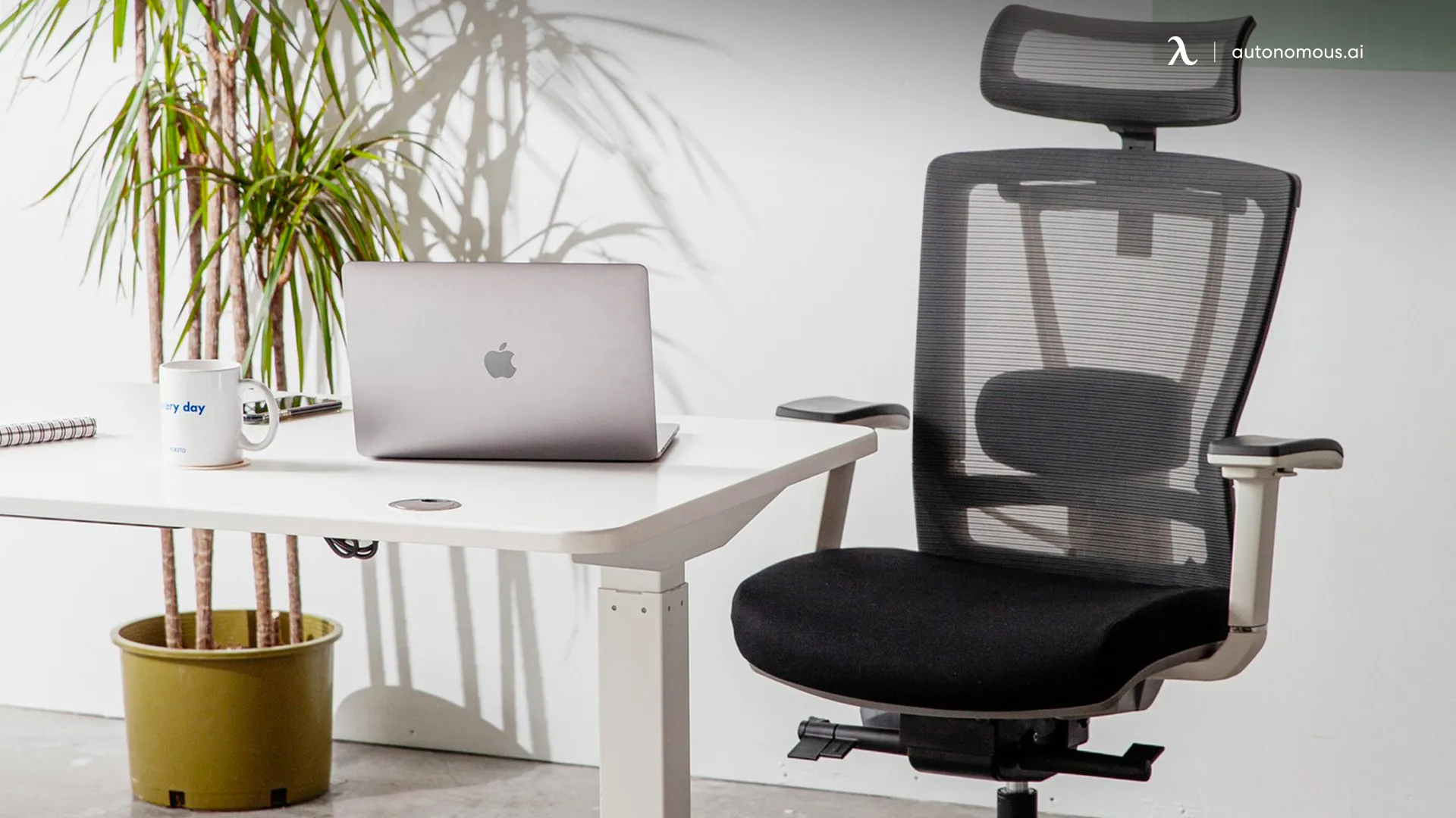 The 5 Best Chairs for a Good Posture and Comfortable Work Day