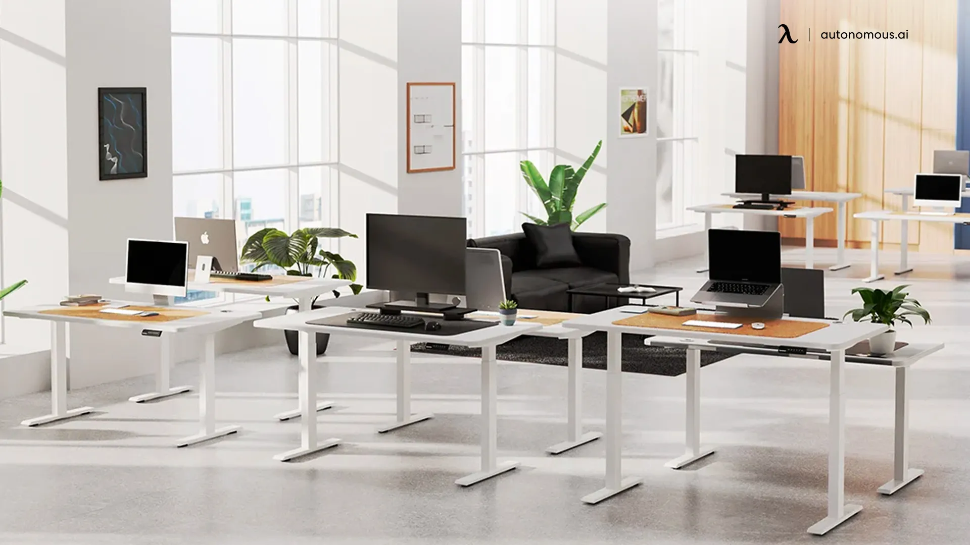 Why Choose Standing Desks from Autonomous