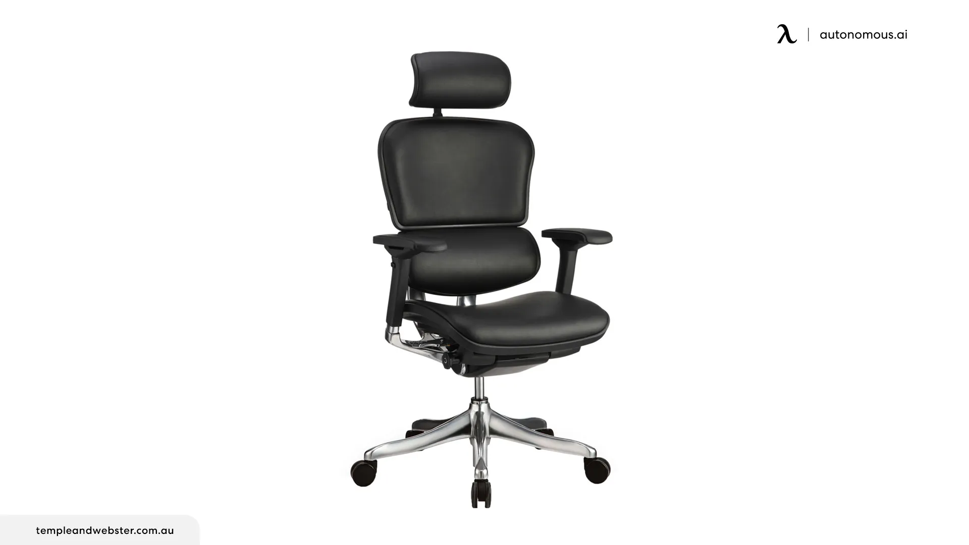 Ergohuman Plus Elite V2 Full Leather Office Chair