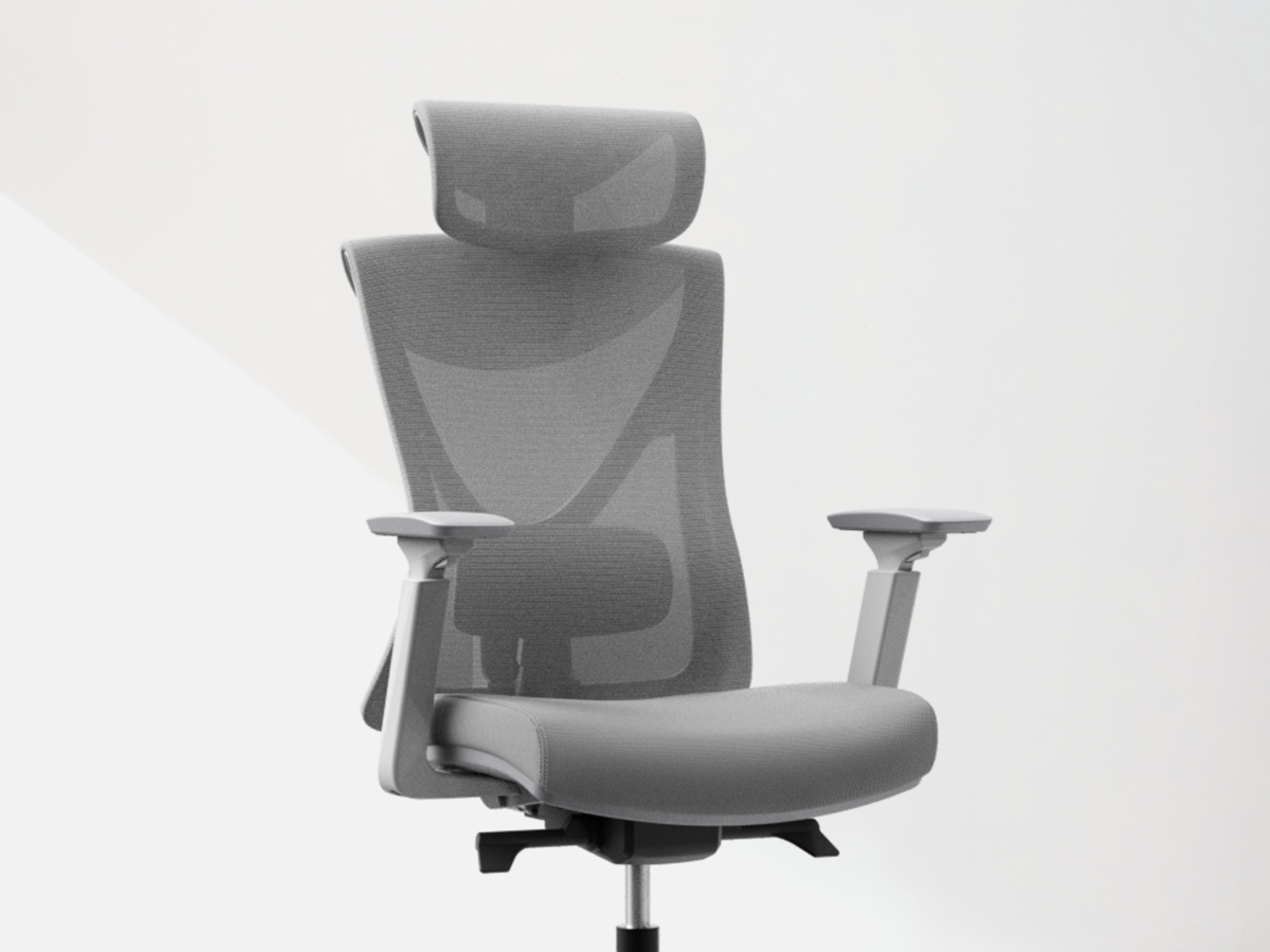 Autonomous ErgoChair Curve - Best Ergonomic Office Chair