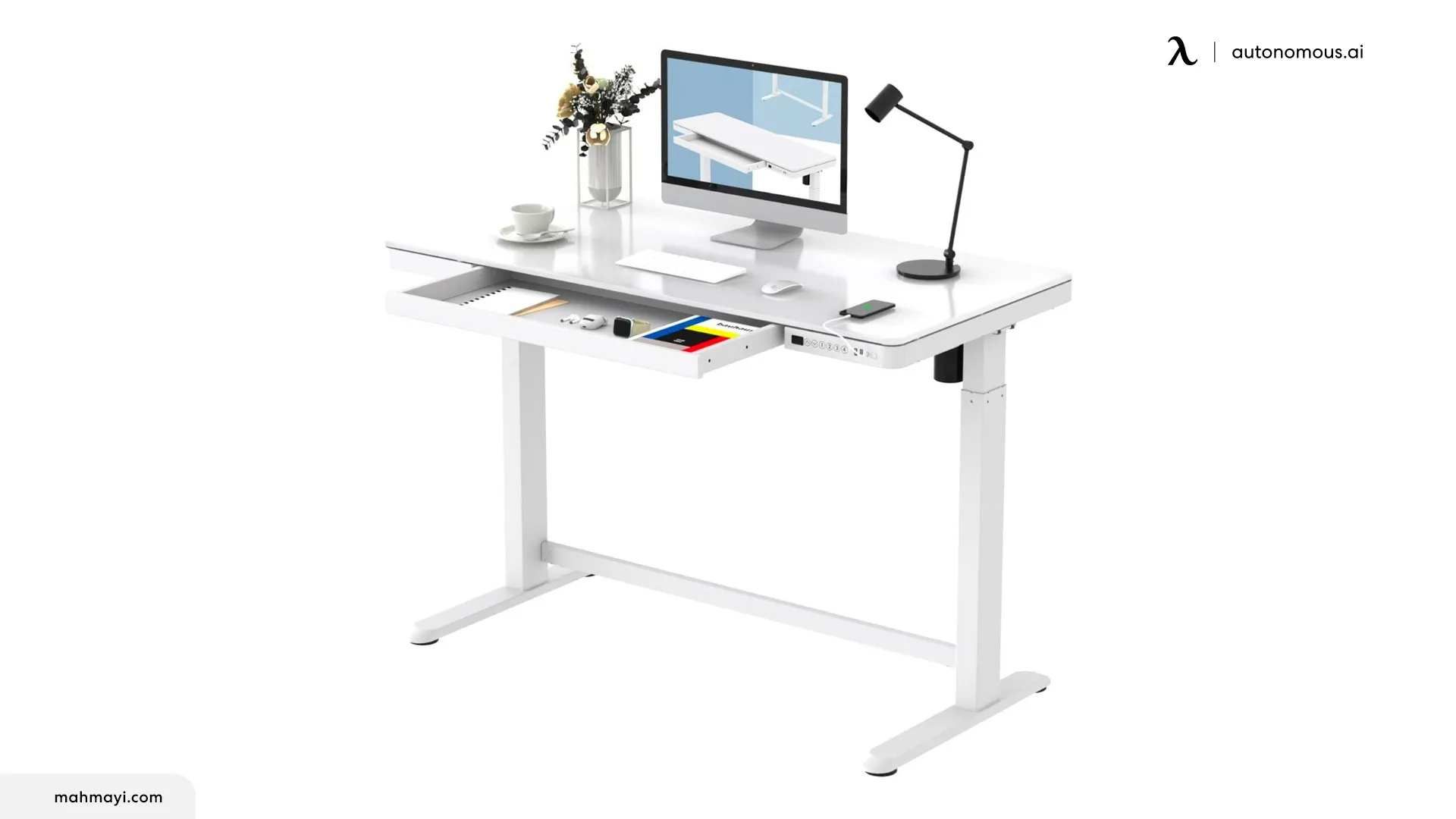 Mahmayi Flexispot Electric Height Adjustable Standing Desk