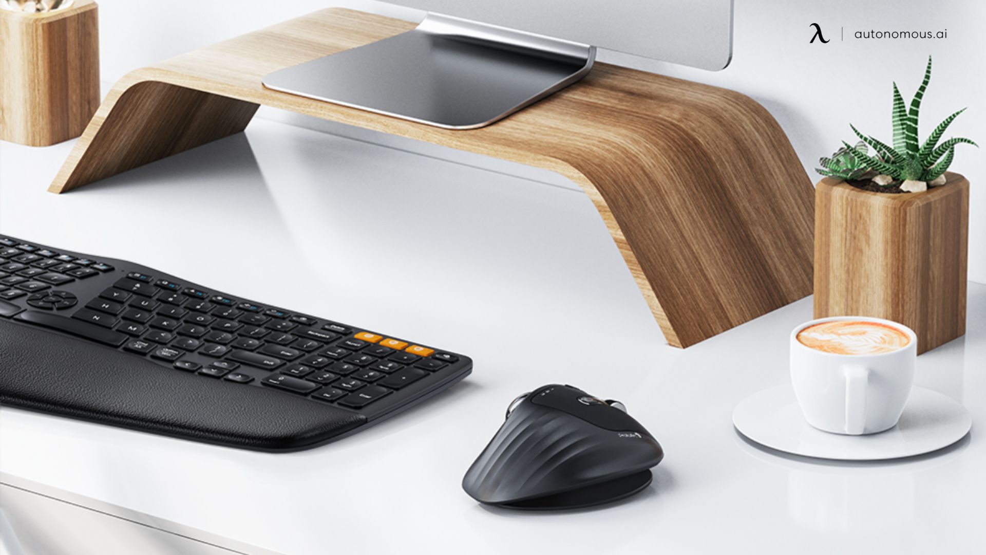 Trackball Mouse Reviews: Unveiling the Best Choices for Ergonomic Precision