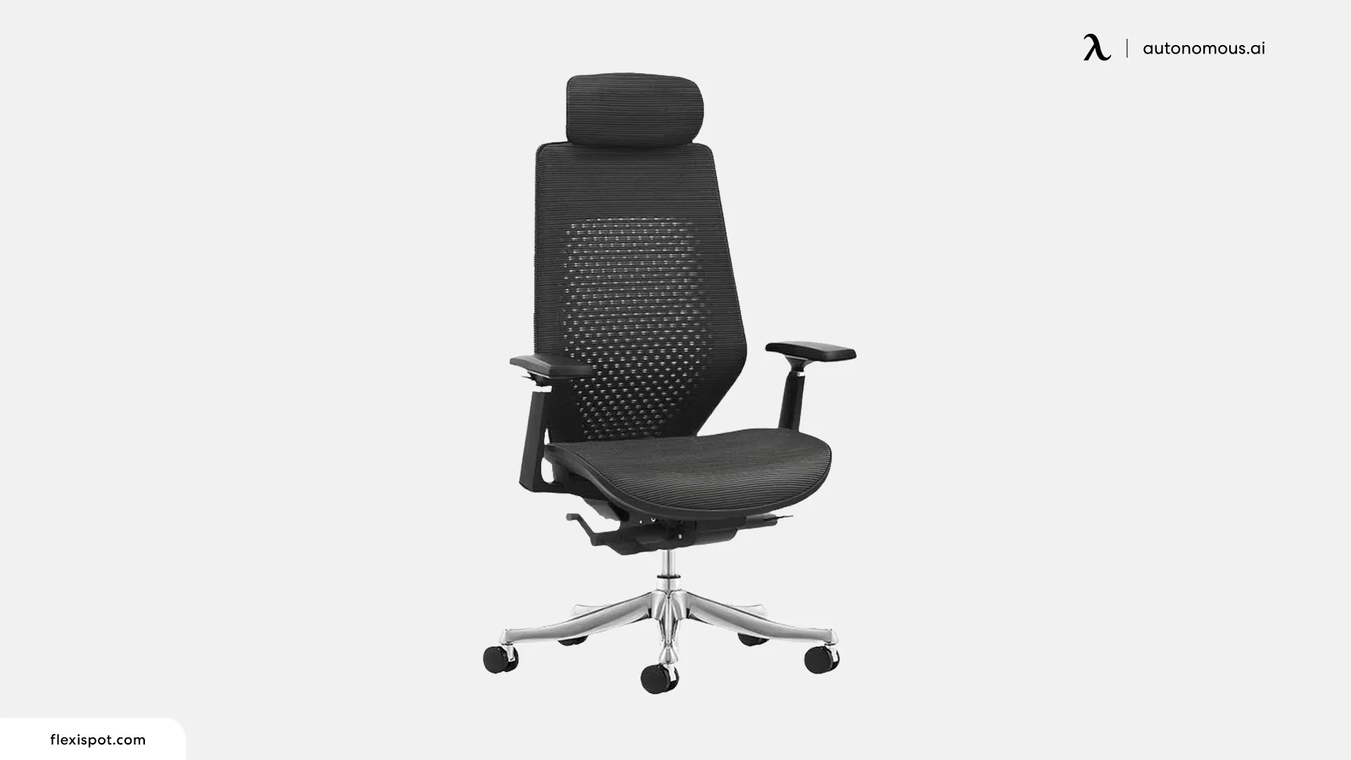 FlexiSpot Ergonomic Chair C8