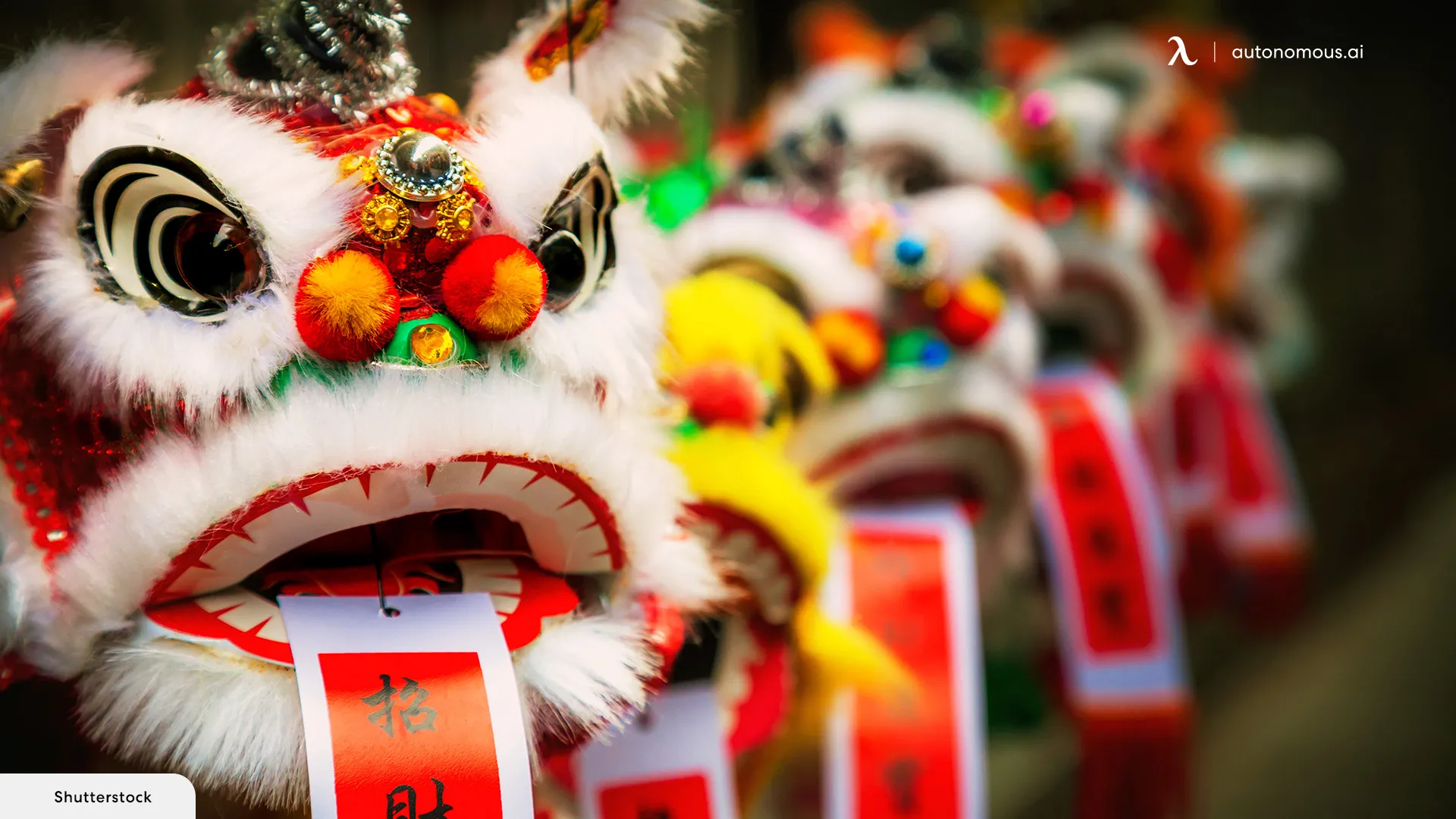 What Is the Lunar New Year?