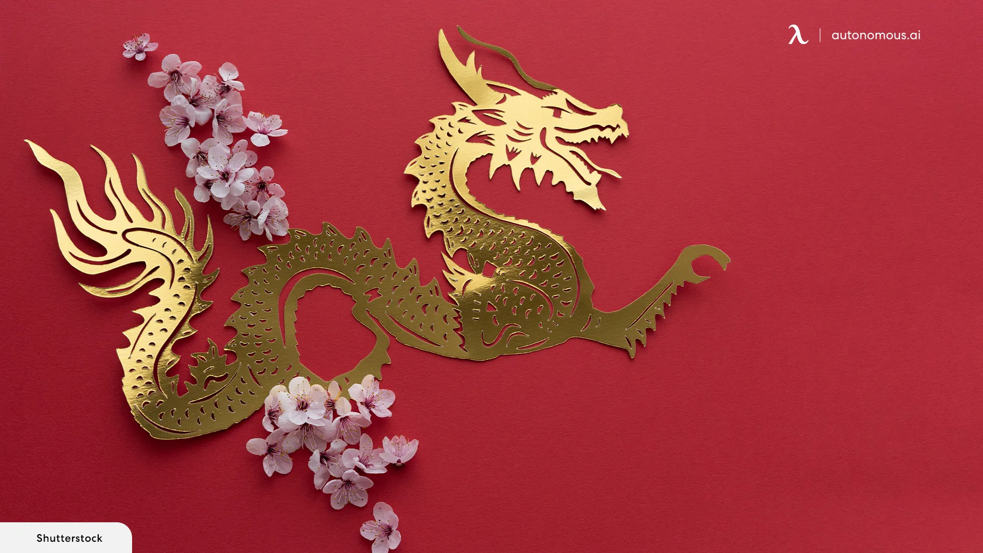 The Dragon Represents Strength, Health, and Good Luck