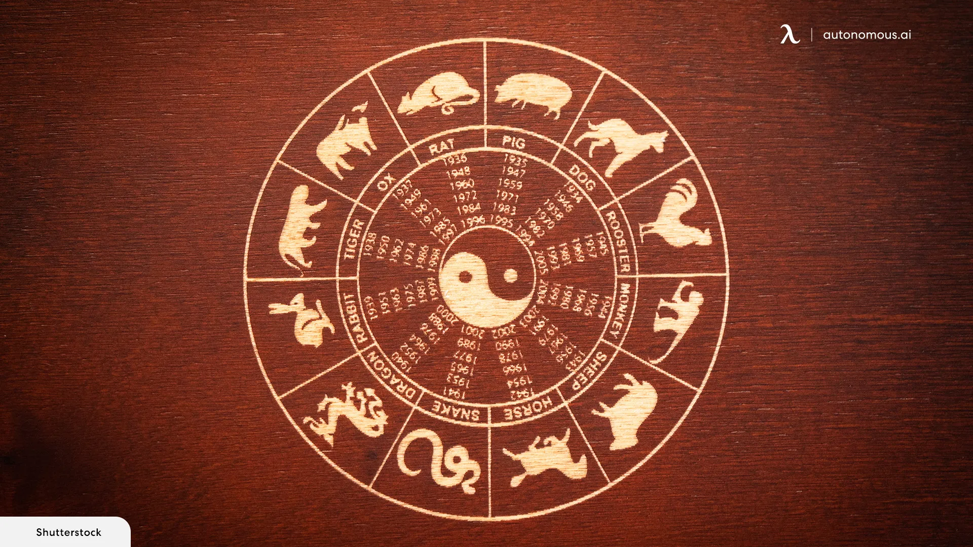There Are 12 Chinese Zodiac Animals