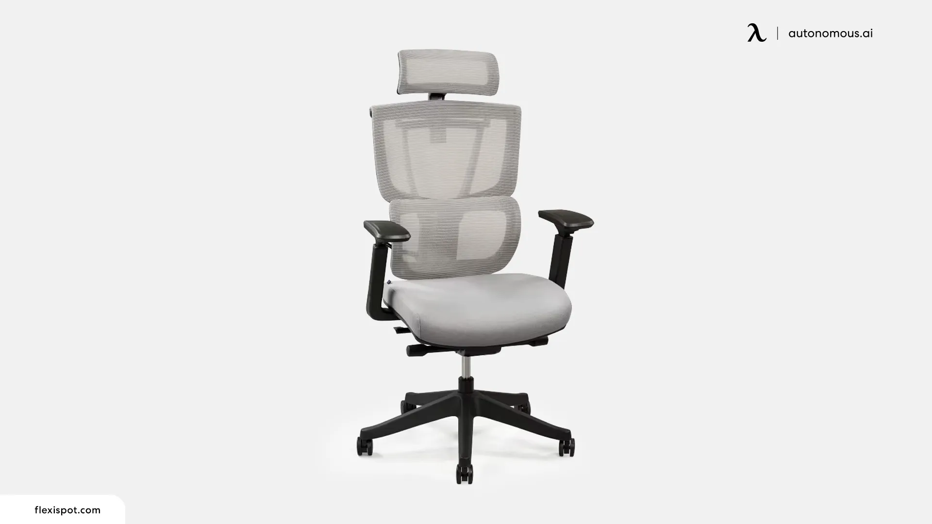 FlexiSpot Premium Ergonomic Office Chair