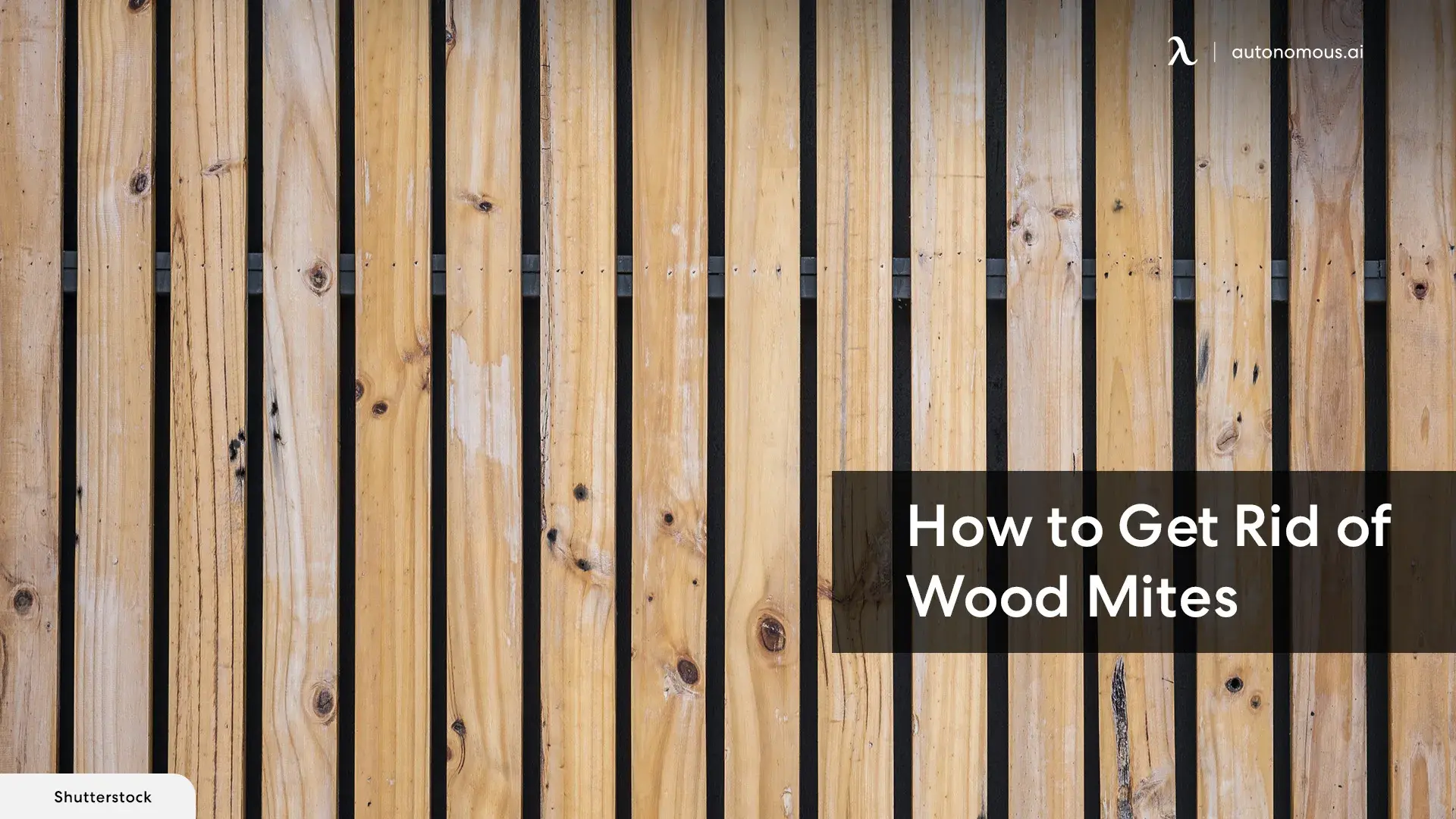 How to Get Rid of Wood Mites for Your Wood House?
