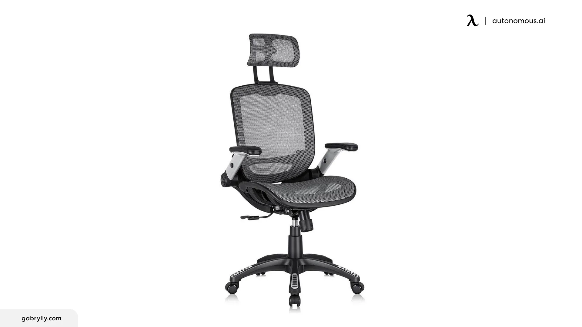 GABRYLLY Ergonomic Office Chair
