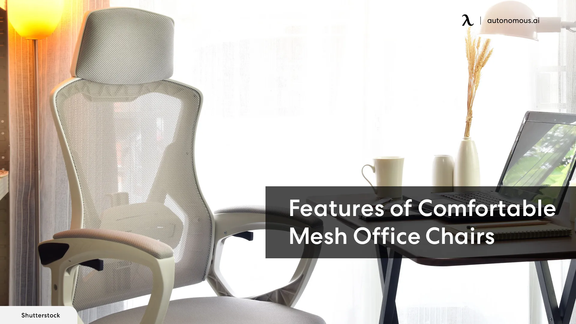 What Makes a Mesh Office Chair Comfortable?