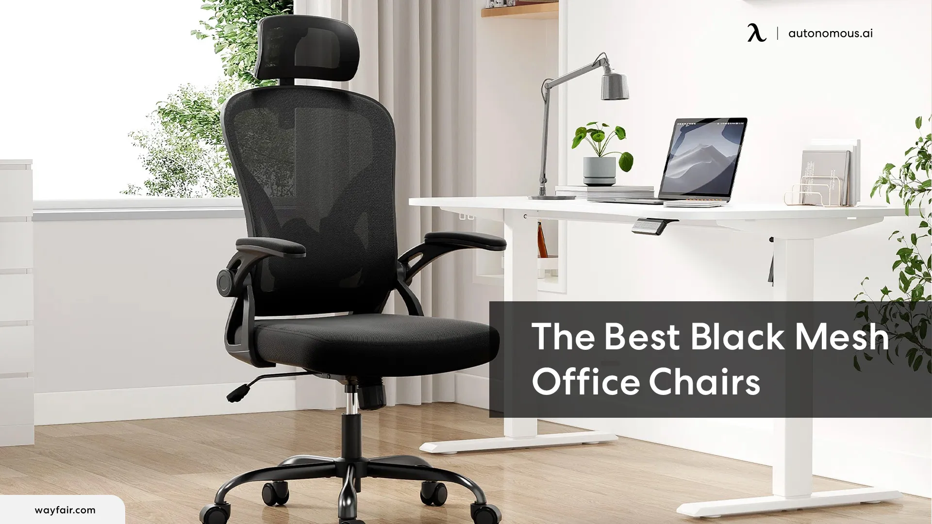 Top 3 Black Mesh Ergonomic Office Chairs for 2024