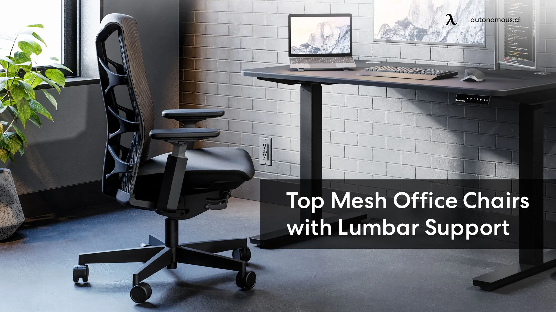 The 5 Best Ergonomic Mesh Office Chairs with Lumbar Support
