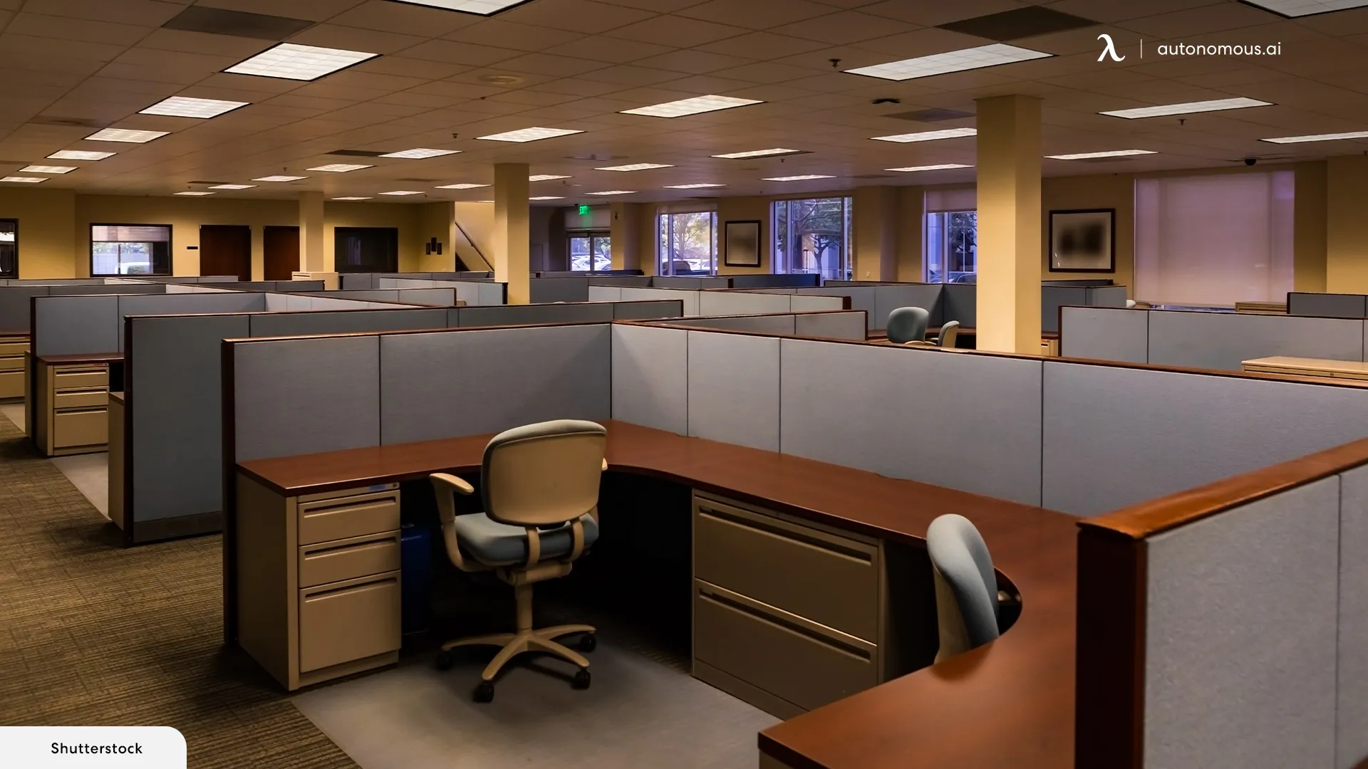 A Comprehensive Guide to Decorating Cubicle Space
