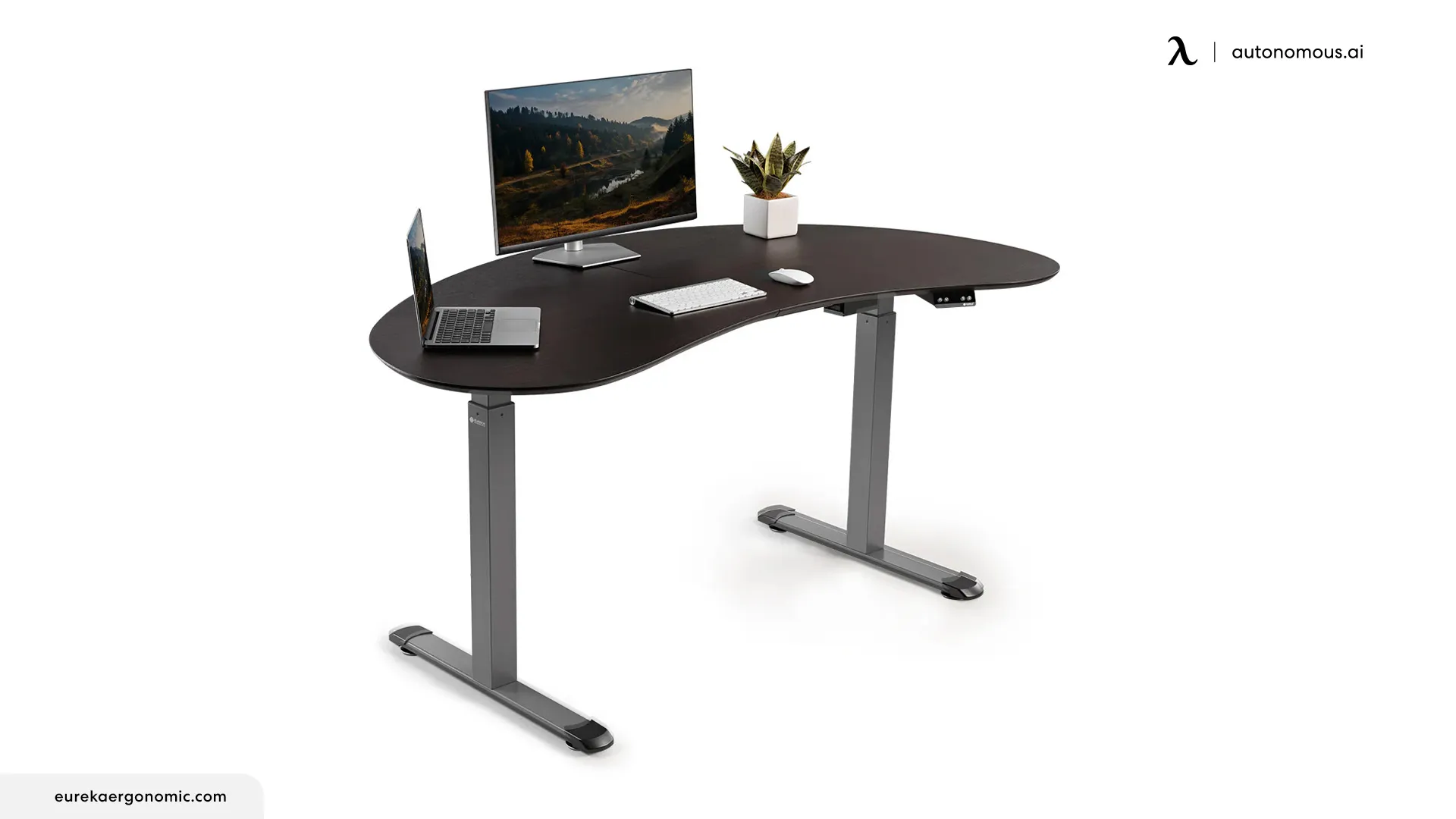 Eureka Cashew Shape Standing Desk