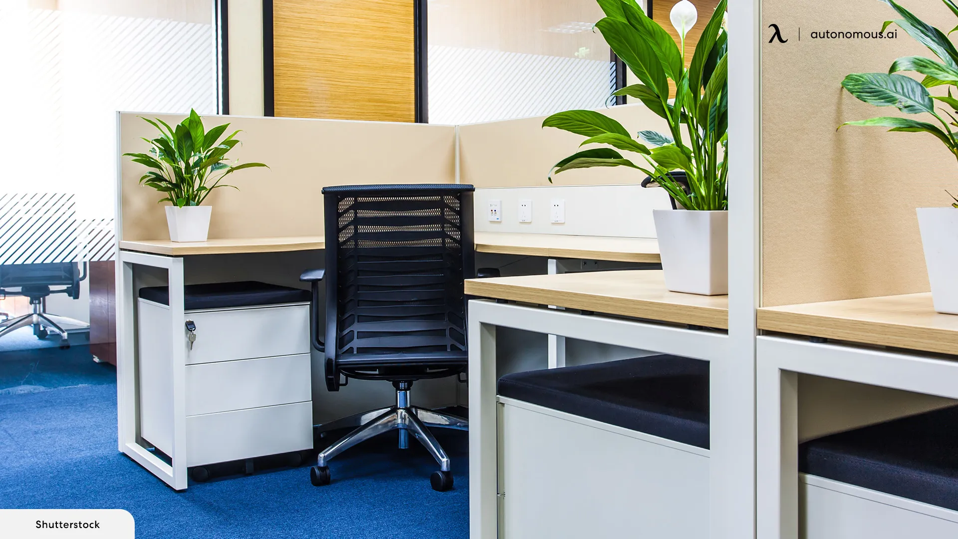 Detailed Guide to Standard Sizes of Office Cubicles