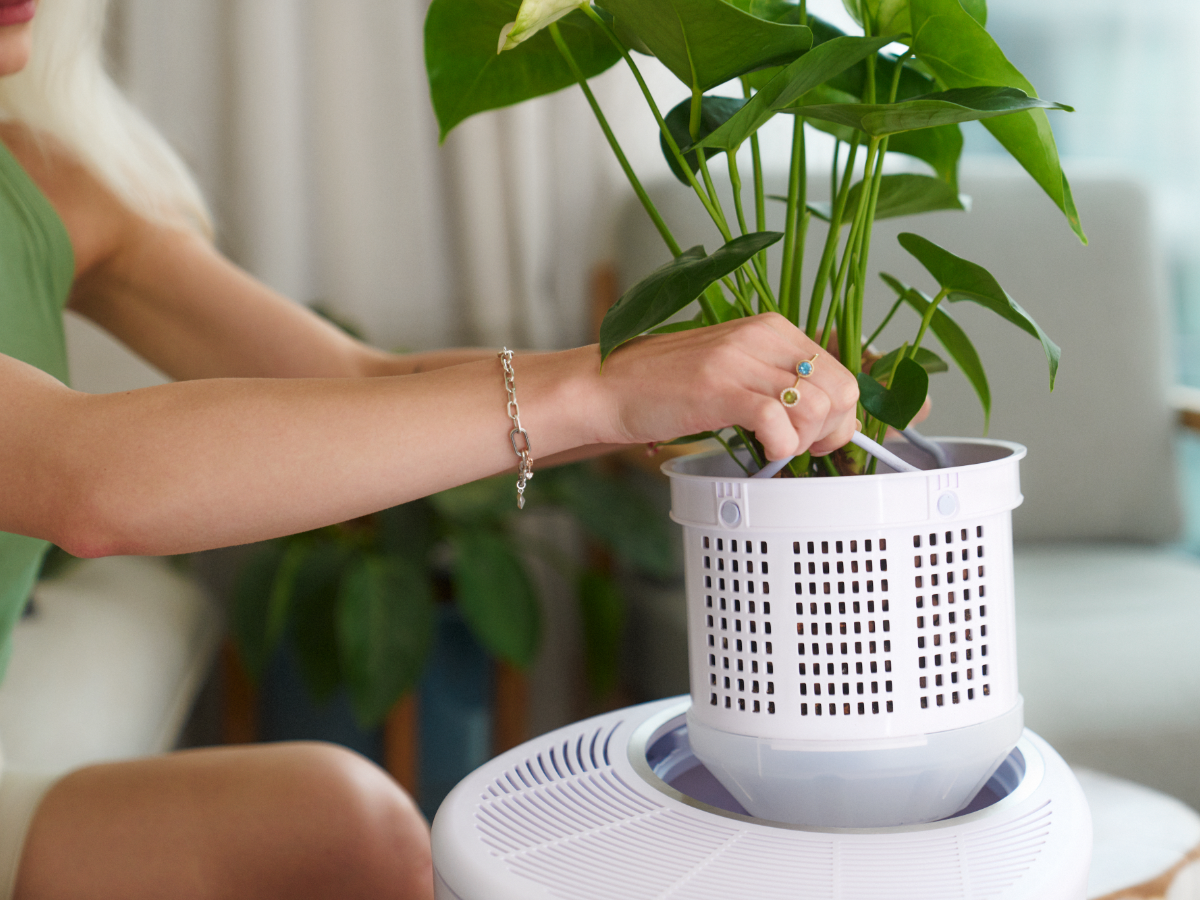 VertaNature Inspired Air Purifier: Boosts productivity, reduces stress & more