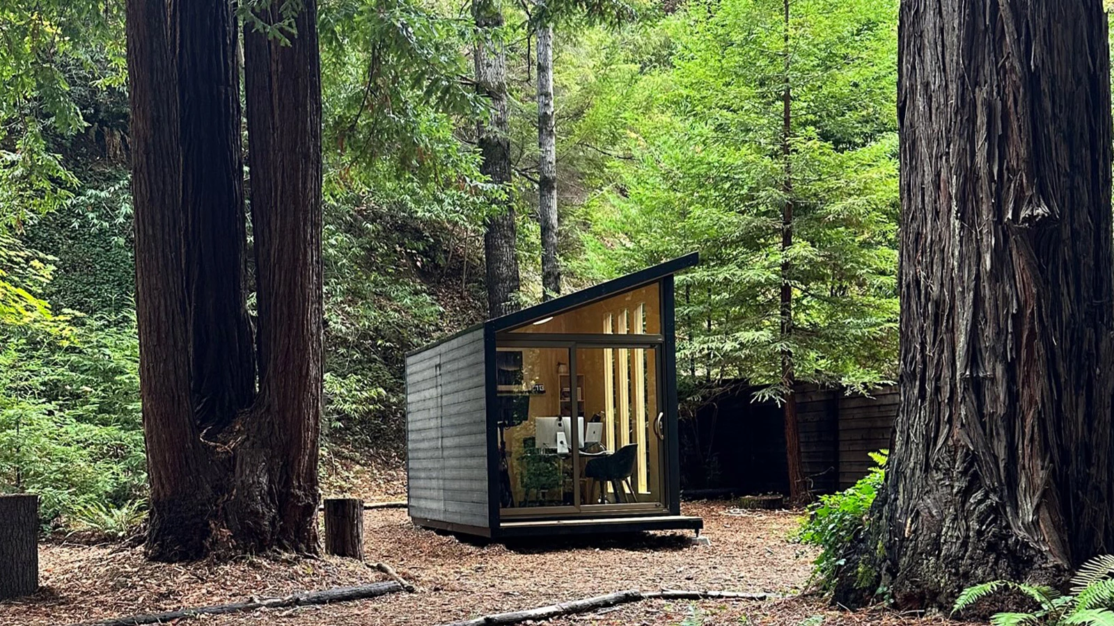 Cody E. - Cazadero, California