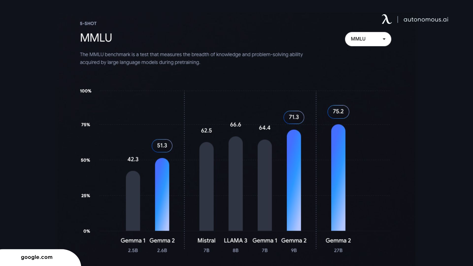 Advanced Natural Language Processing (NLP)