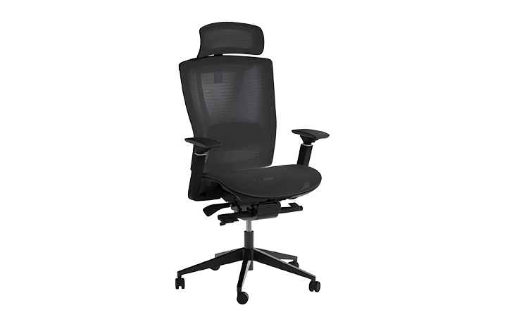 ErgoChair Mesh<sub>New</sub>