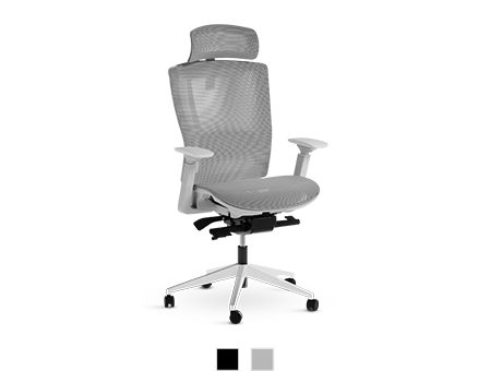 ErgoChair Mesh