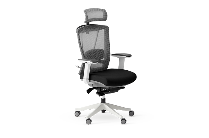 ErgoChair Pro