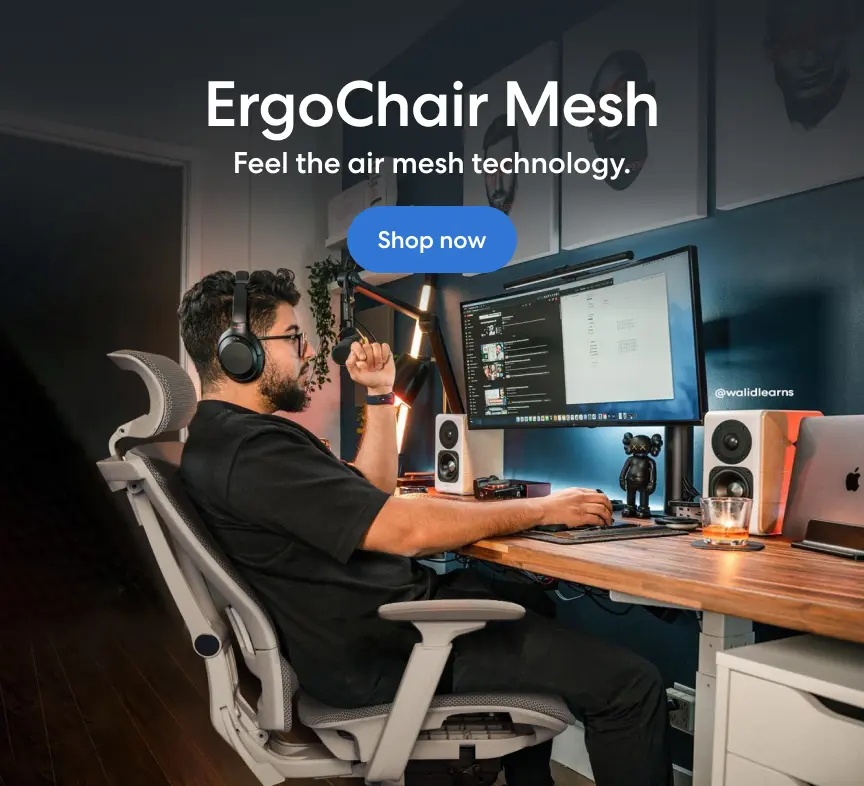 Autonomous ErgoChair Mesh