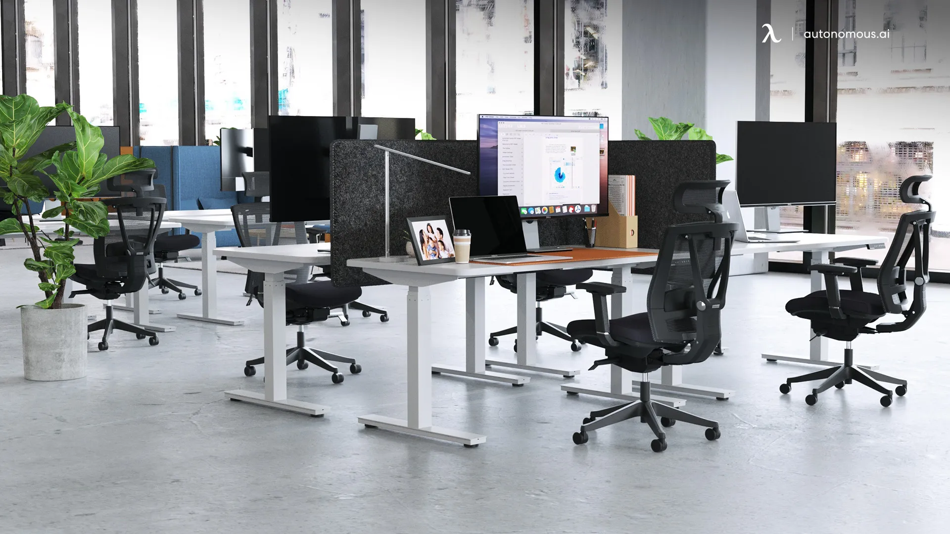 What Are the Most Recent Office Cubicle Trends?