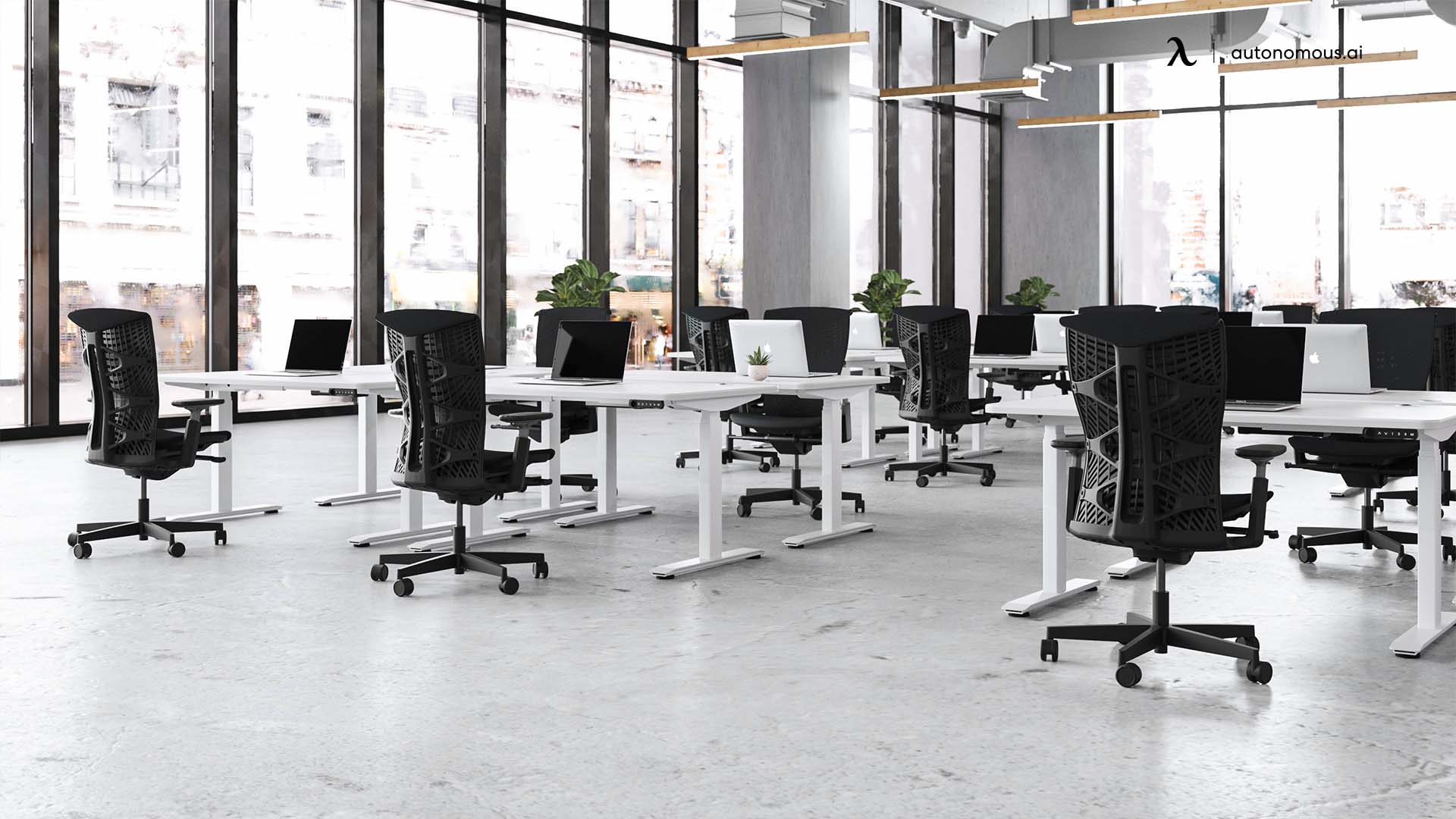 Open Office Layout - productive office layout