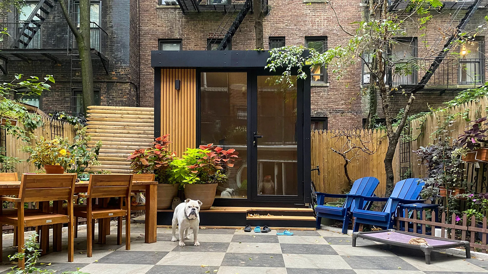 Pavi S - New York city, New York