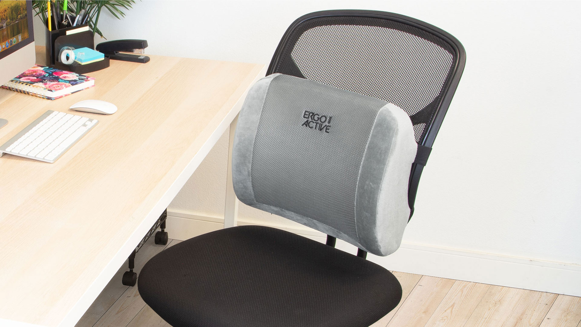 Best Orthopedic Back Support for Office Chairs