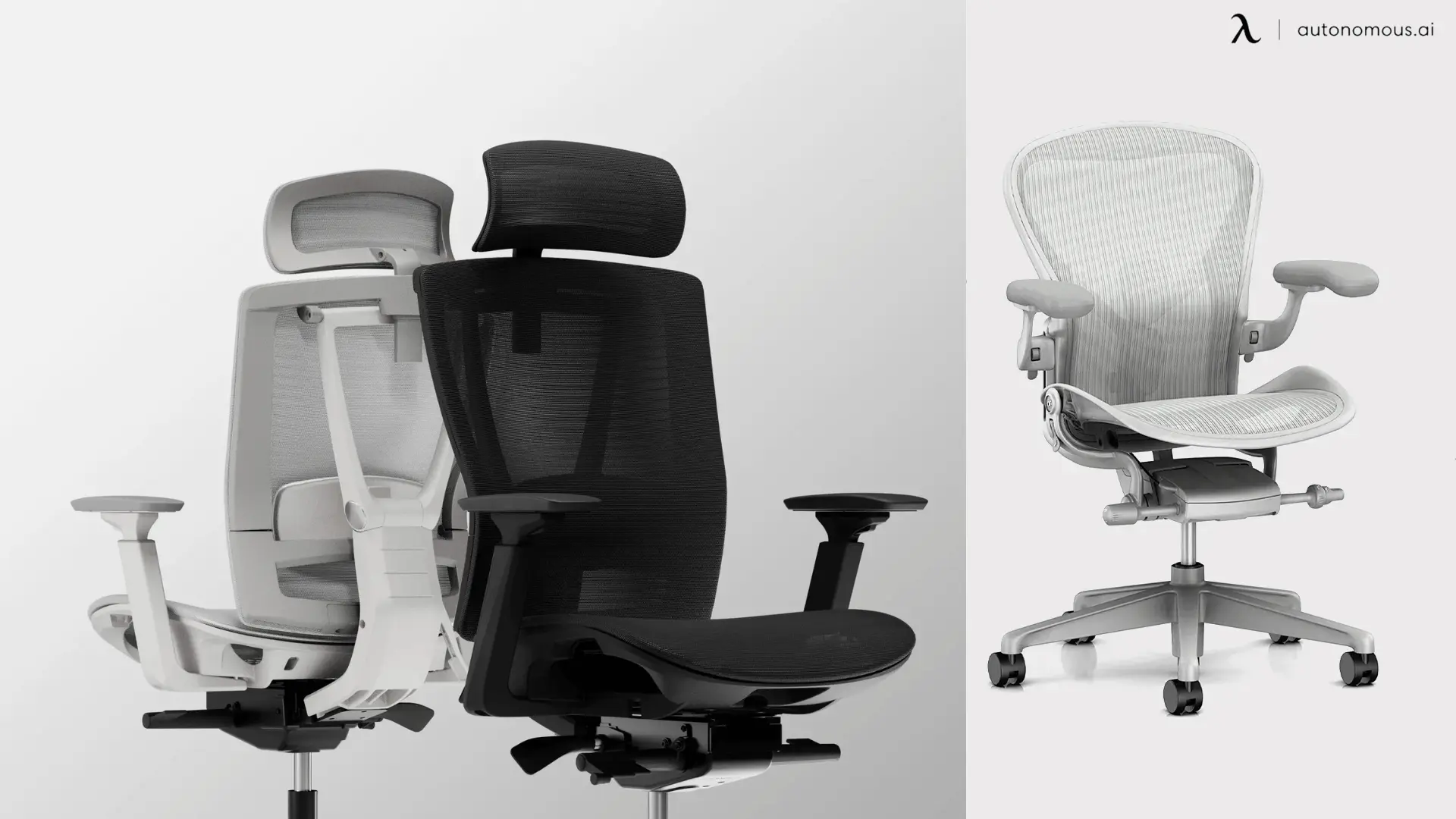 If you prefer a softer, cushioned seat, go with the ErgoChair Pro. If you want firm, weight-distributing mesh support, the Aeron is unbeatable.