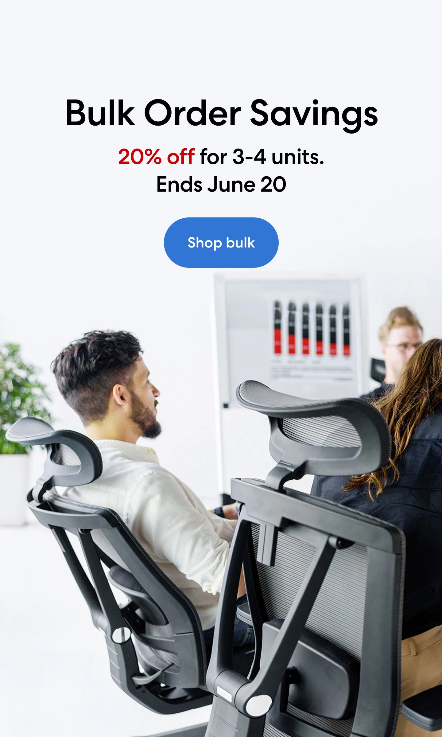 Bulk Order Offer 2025