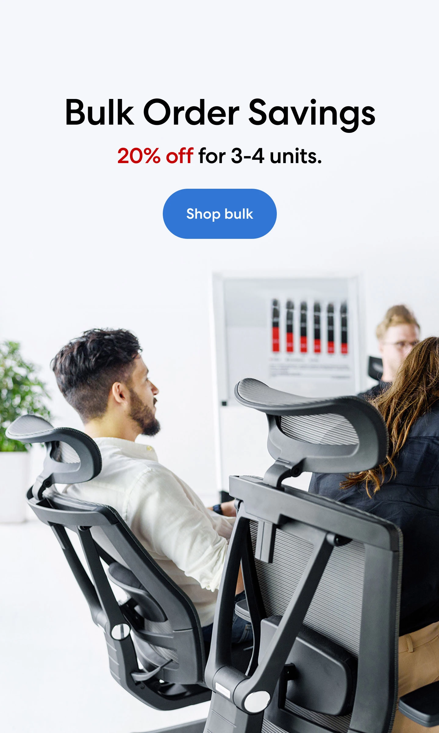 Bulk Order Offer 2025