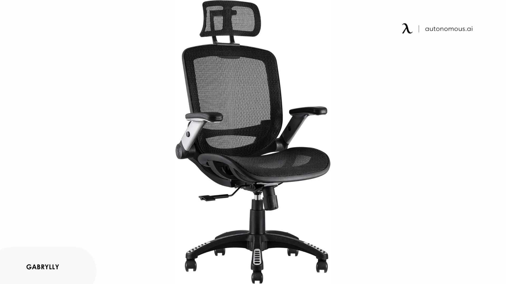 GABRYLLY Ergonomic Office Chair