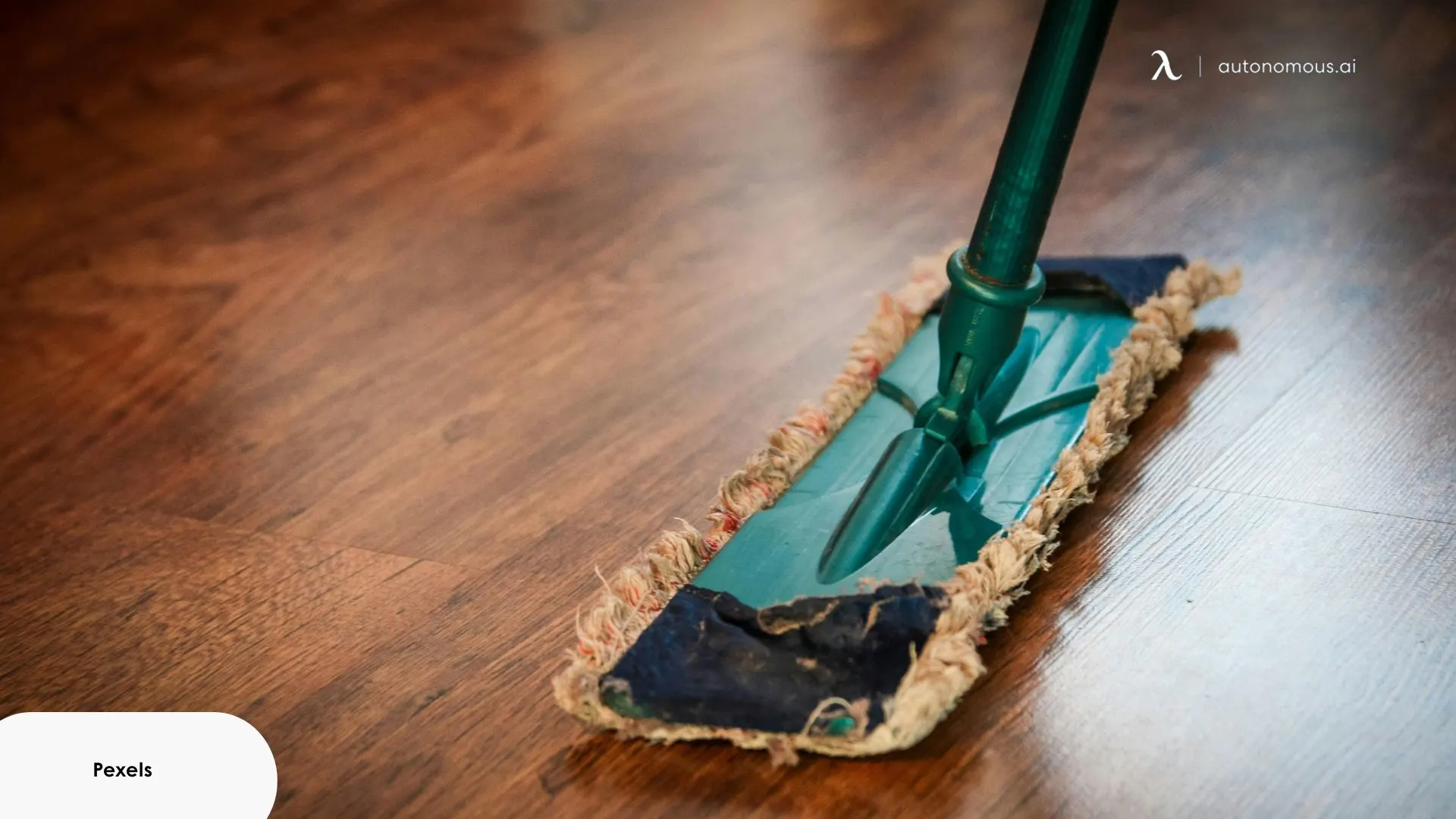 Regular cleaning can disrupt mite