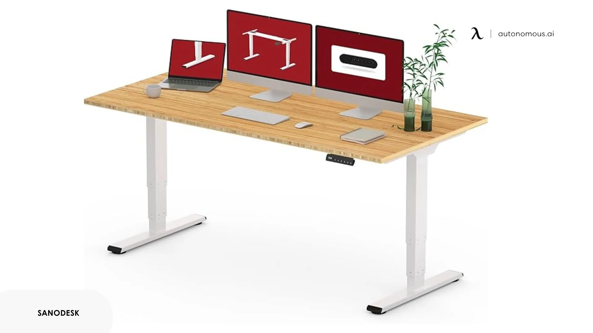 SANODESK Standing Desk With Dual Motor